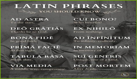 A Profile Of A Latin Beauty